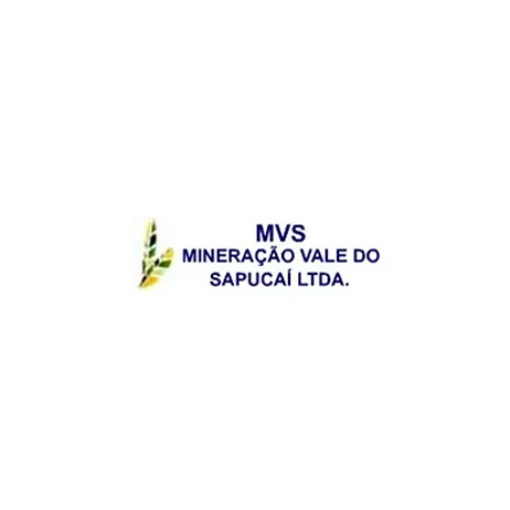 Logo-para-LP-MVS